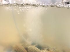 -老地方海鲜坊(步行街店)