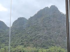 -银峰农庄·特色烧鸡·鲜无花果浸鸡