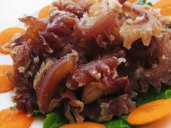 -柴务处·柴犬主题狗咖