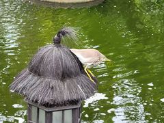 -厦门日月谷温泉渡假村