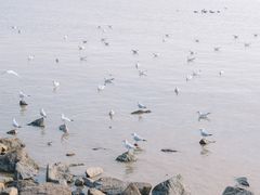 -深圳湾公园(南山区)