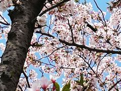 -龙美术馆(西岸馆)