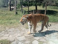 -沈阳森林动物园