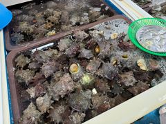 -西归浦每天偶来市场