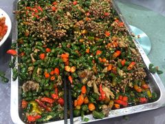 -金水泊山庄·花椒鸡(铁山坪店)