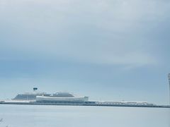 -吴淞炮台湾湿地森林公园烧烤区