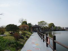 -鹅湖玫瑰文化园