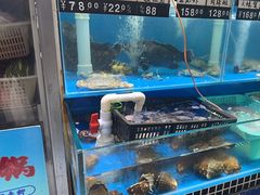 -昌顺园·养马岛渔家海鲜餐厅·老鲁菜(龙湖店)