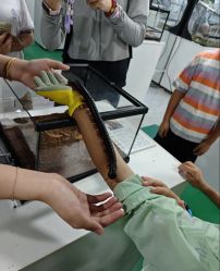 -神奇动物撸宠馆·羊驼·小浣熊·异宠(豫园店)