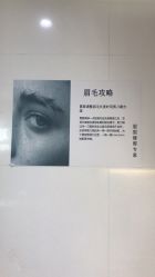 -眉毛攻略·专业修眉染眉野生眉