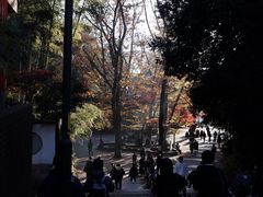 -井之头恩赐公园