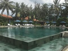 -芽庄喜来登水疗酒店