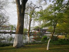 -浙江西子宾馆·瑶园咖啡厅