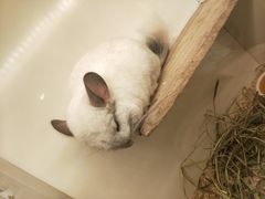 -龙猫仔乐园(惠福东路店)