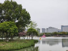 -青枫公园