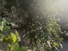 -磁器口古镇