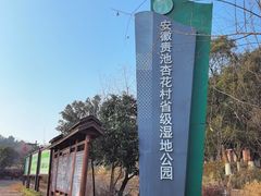 -杏花村文化旅游区