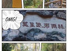 -莫里热带雨林景区