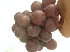 中百仓储超市襄樊大庆东路-中百仓储超市(大庆东路店)