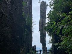 -恩施大峡谷