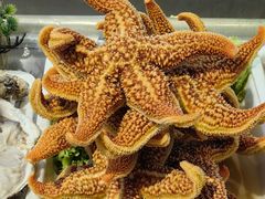 -大锅强·蒸海鲜青岛菜(金沙滩店)