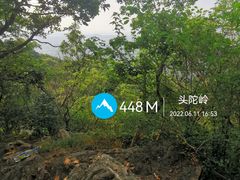 -紫金山山顶公园