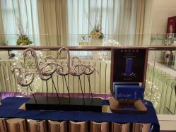 -Yestar艺星医疗美容医院