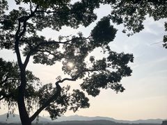 -浙江西子宾馆·瑶园咖啡厅