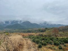-黟县屏山村