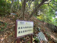 -柚柑湾度假村餐厅