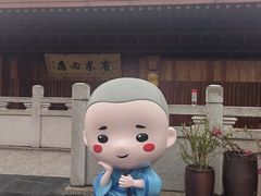 -深圳仙湖植物园