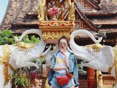 -西双版纳傣族园