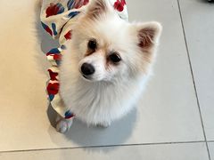 -怪兽屋·羊驼·猫咖·狗咖(俊华广场店)