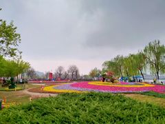 -渭滨公园