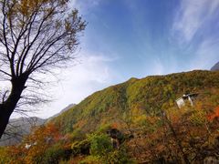 -秦岭风景区