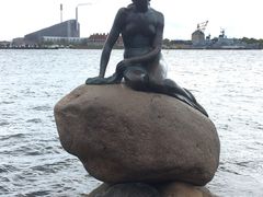 -美人鱼