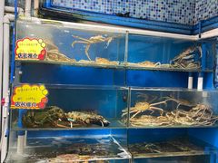 -蚝专家(北滘店)