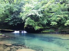 -黎坪国家森林公园