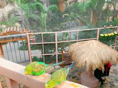 -南宫五洲植物乐园