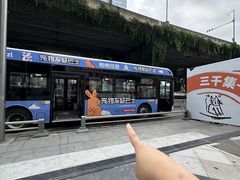 -帕帕拉兹宠物(亚洲旗舰店)