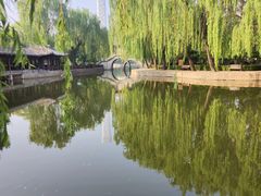 -团结湖公园