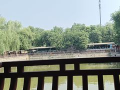 -尚庄度假村·庭台树下·户外烧烤·团建CS·轰趴营地(上庄水库店)