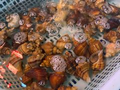 -202特色排档(五缘湾店)