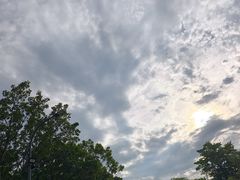 -深圳湾公园(南山区)