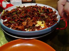 -杨氏青龙虾·羊蝎子(托乐嘉店)