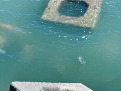 -东疆建设开发纪念公园