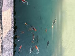 -黄公望隐居地