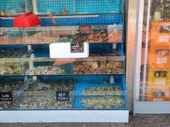 -北戴河庆山饭店·海鲜砂锅粥(北戴河黑石路店)