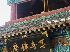 -洛阳白马寺