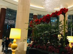 -上海雅居乐万豪侯爵酒店